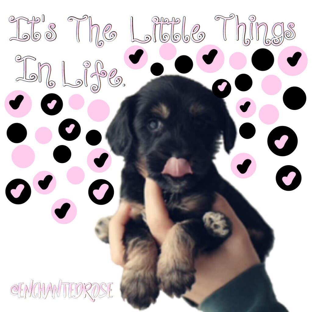 💗Tap💗
The littlest things in life can mean the most. How r u all doing? Lmk in comments! Plz help me reach my goal of 800 followers by may! Rate this edit 1-10. Love u all!