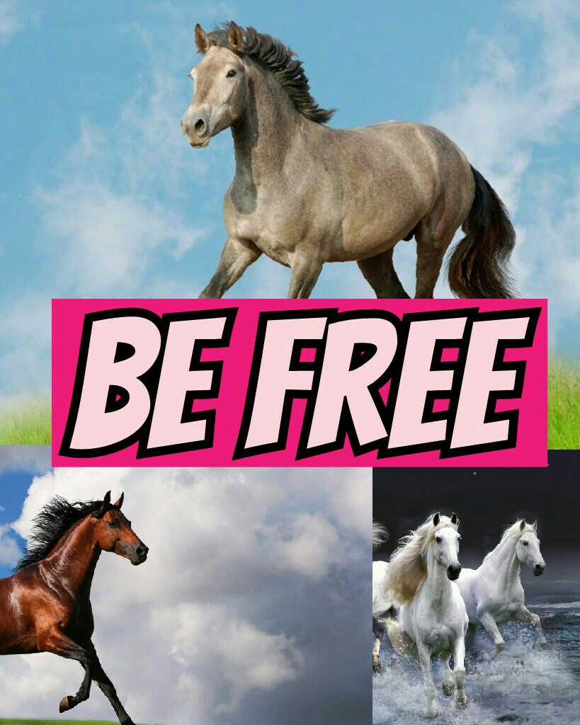 Be free
Live ur life free young and wild! 💜💜💜💜