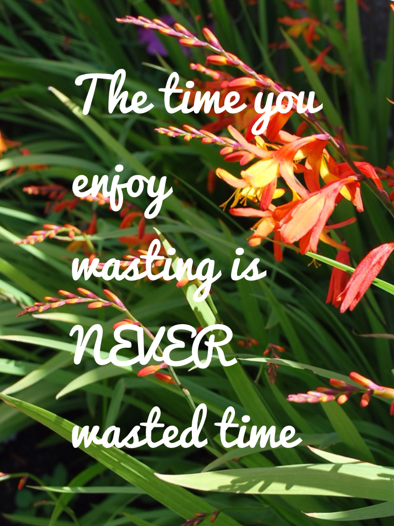 Never wasted time