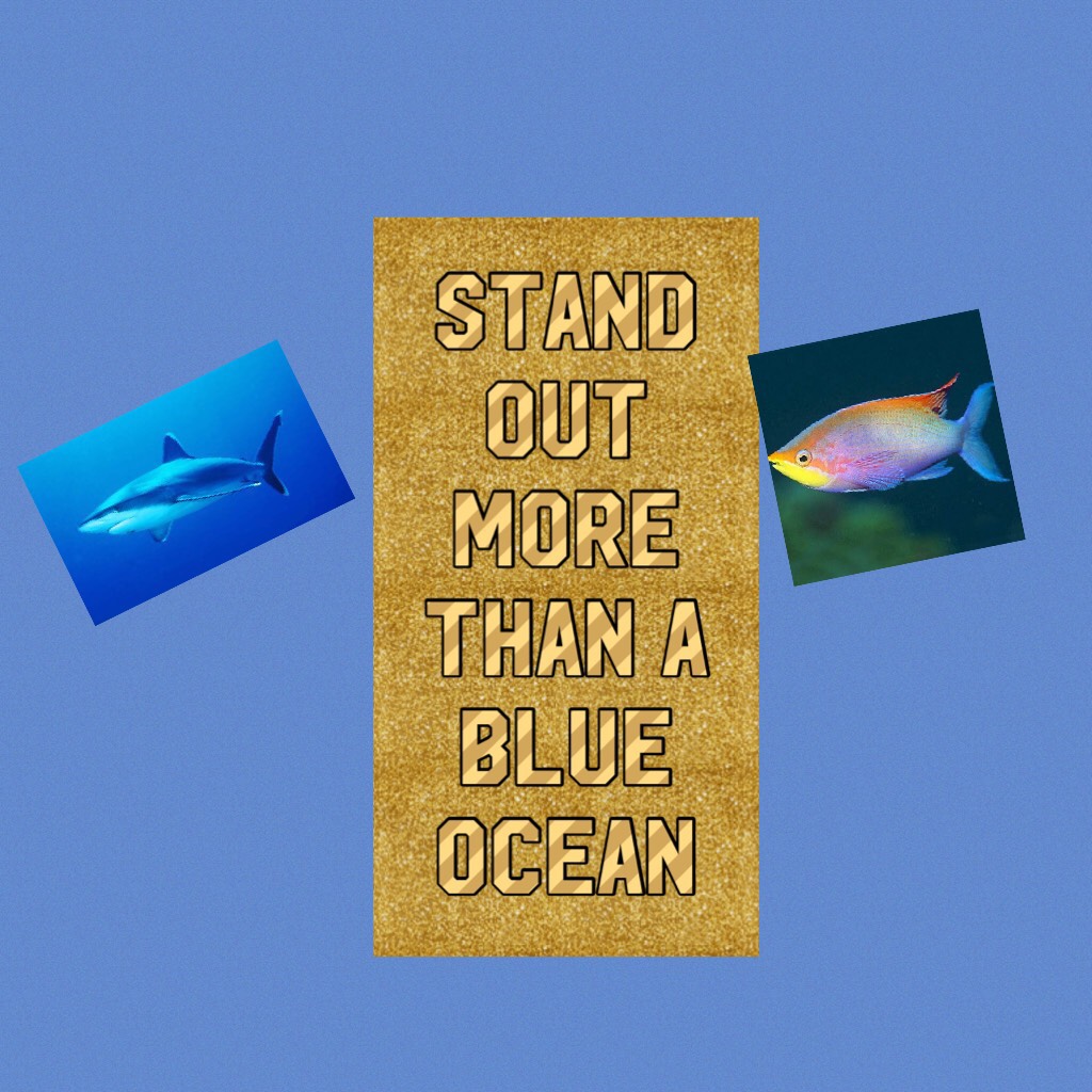 Stand out more than a blue ocean
