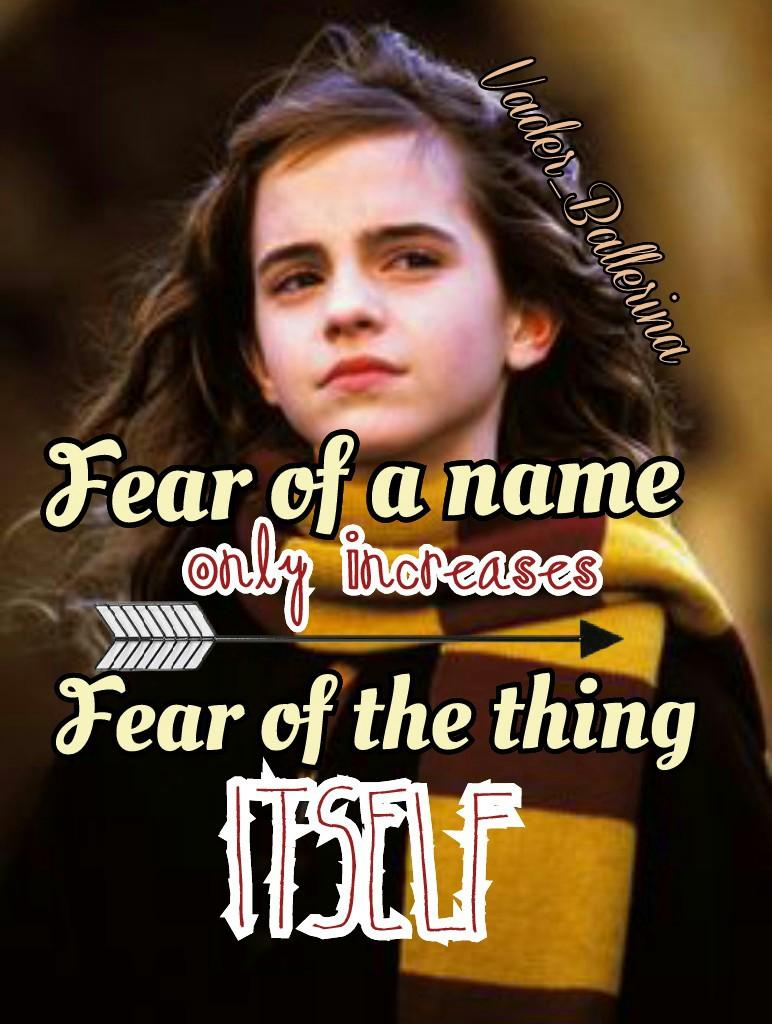 Theme Divider 3/6
"Fear of a name only increases fear of the thing itself."
~ Hermione Granger
#HarryPotterAndTheChamberOfSecrets