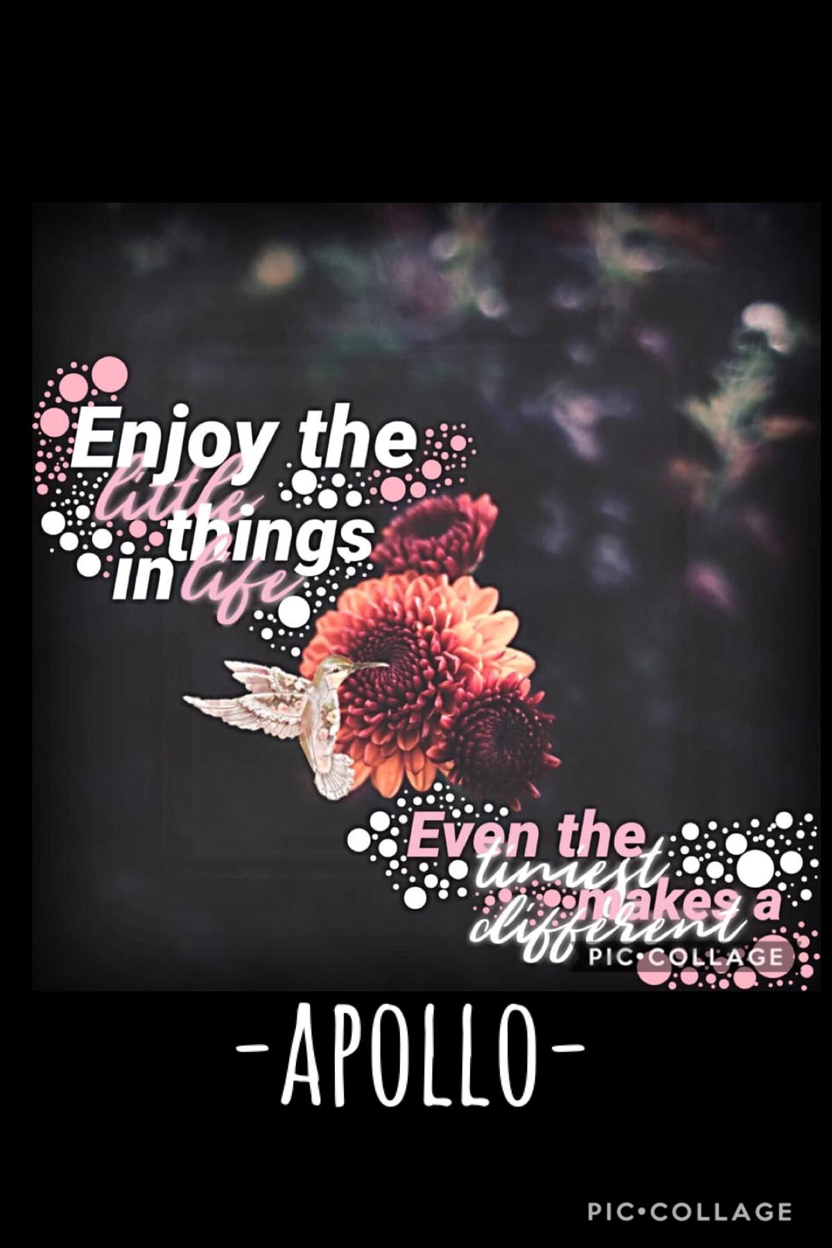 🌸TAP🌺
Please follow-Apollo- , they have great collages and just they are amazing ❤️. Also , sorry I have been gone😬