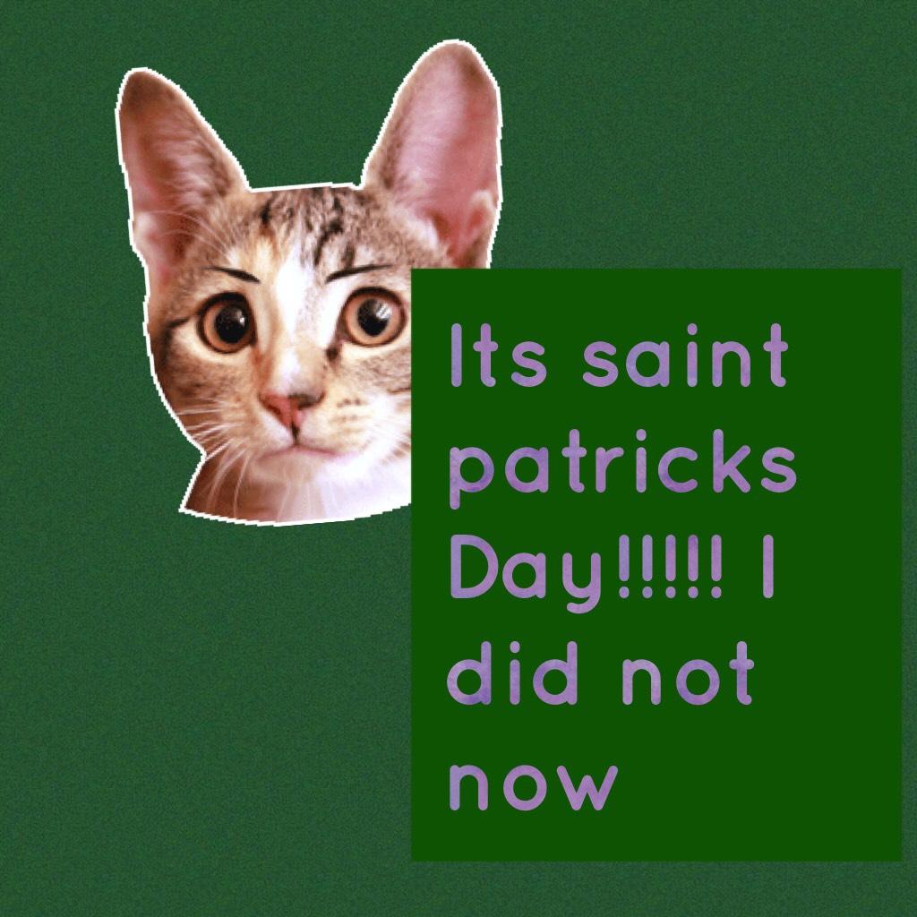 Its saint patricks Day!!!!! I did not know cat always spell wrong so do i