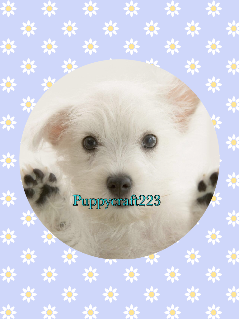 Puppycraft223 