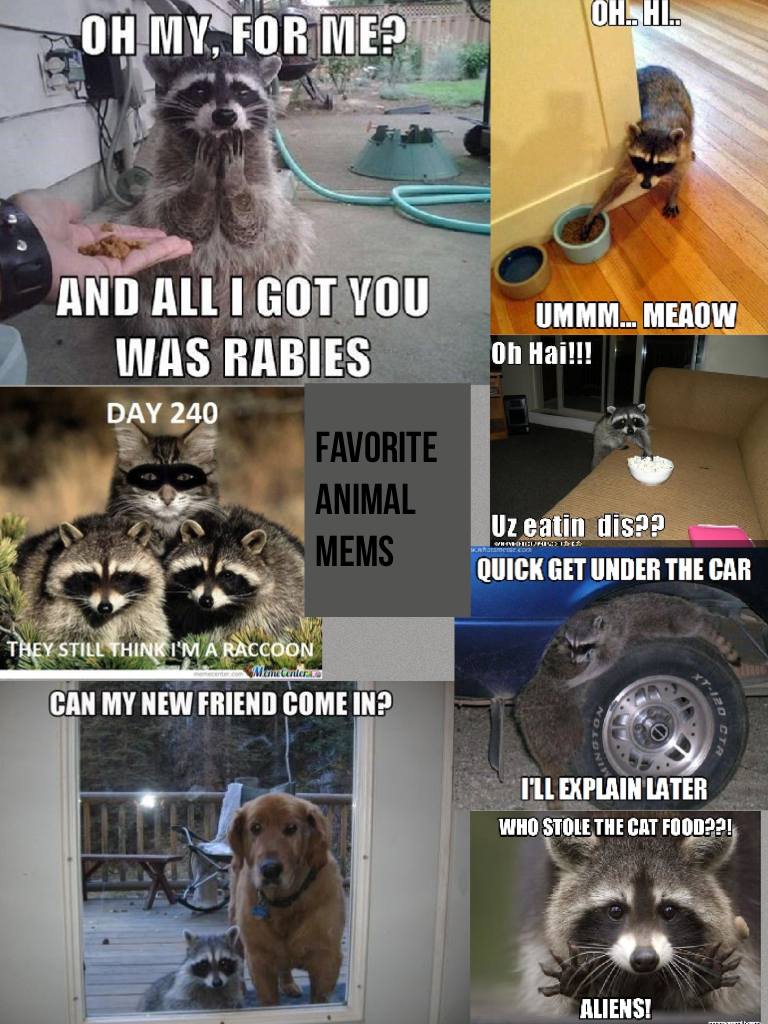 Favorite animal mems