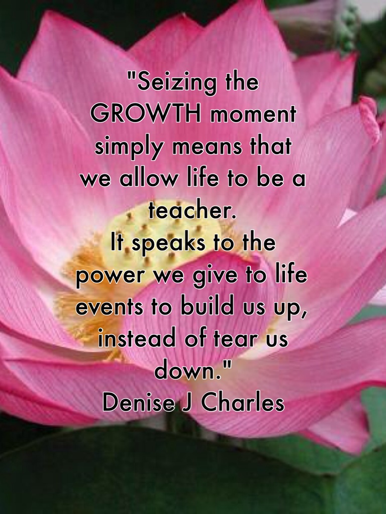 "Seizing the GROWTH moment simply means that we allow life to be a teacher. 
It speaks to the power we give to life events to build us up, instead of tear us down." 
Denise J Charles
 
