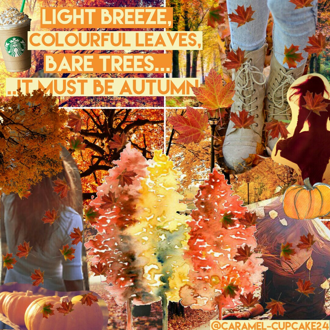 TAP THE 🍁!!!!
its actually SPRING here in Australia but i wanted to make this edit for Pic collage's Fall contest!!! Hope you all like this!!
🍁Rate: /10🍁
🍁~13●9●17~🍁
🌺tags: PConly piccollage #fall #feature?🌺