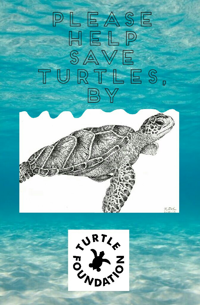 Please
Help
save
Turtles,
by