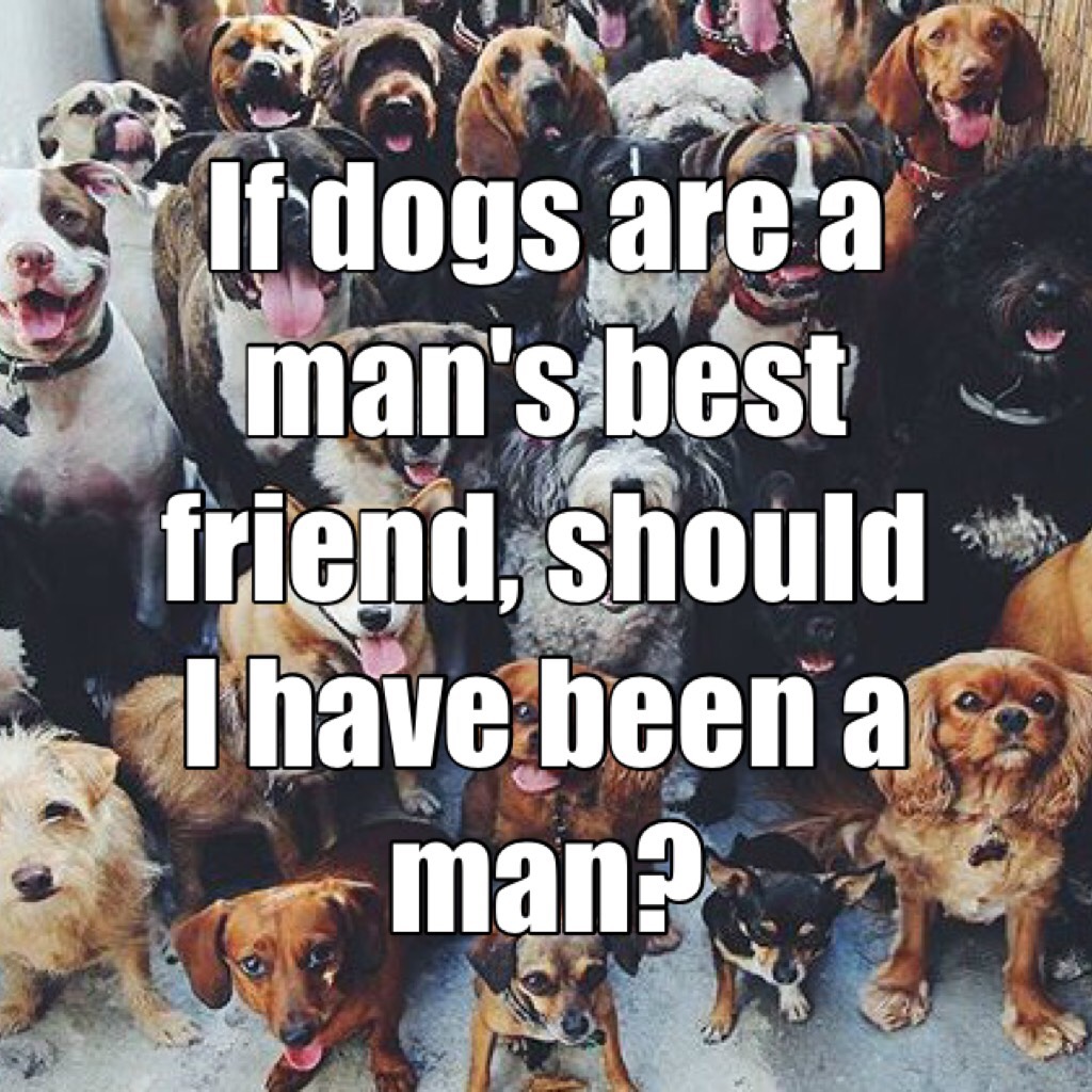 If dogs are a man's best friend, should I have been a man? So true I wish ppl would open their eyes