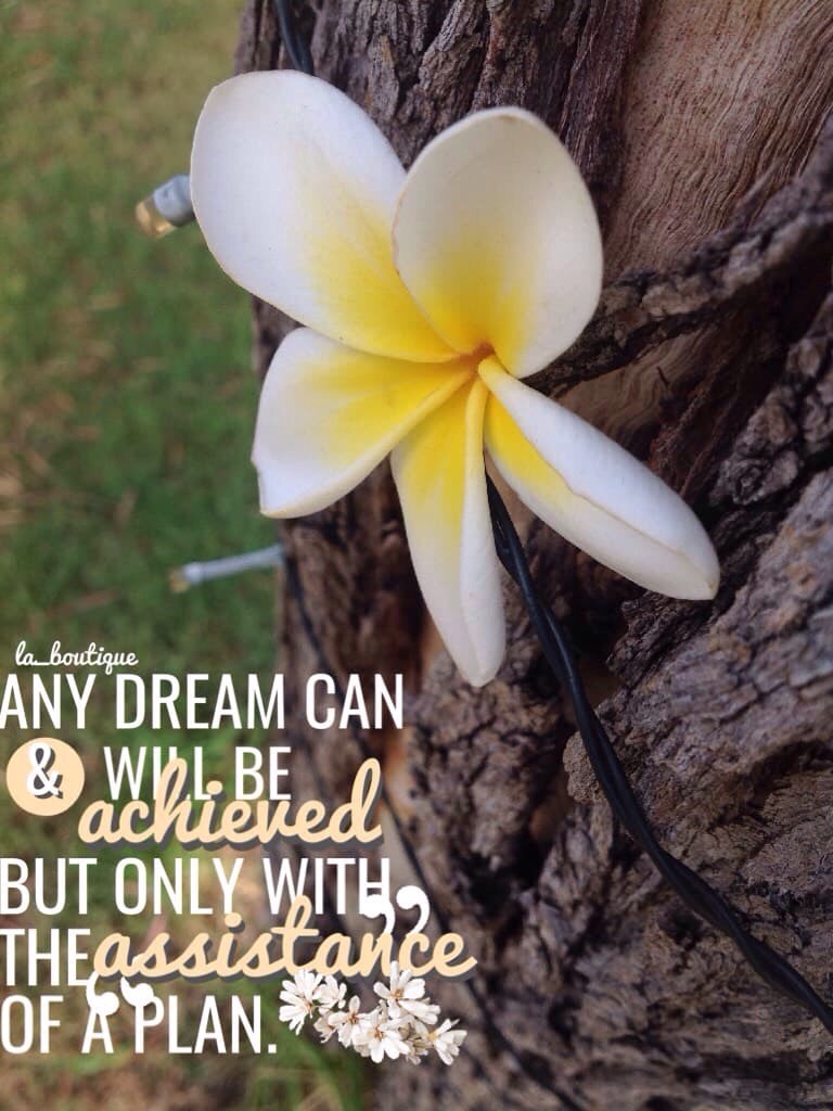 Shoutout to @pcstickers ! ❤️ Entry to a contest 💞🌻🍃 My pic & quote ! Xx