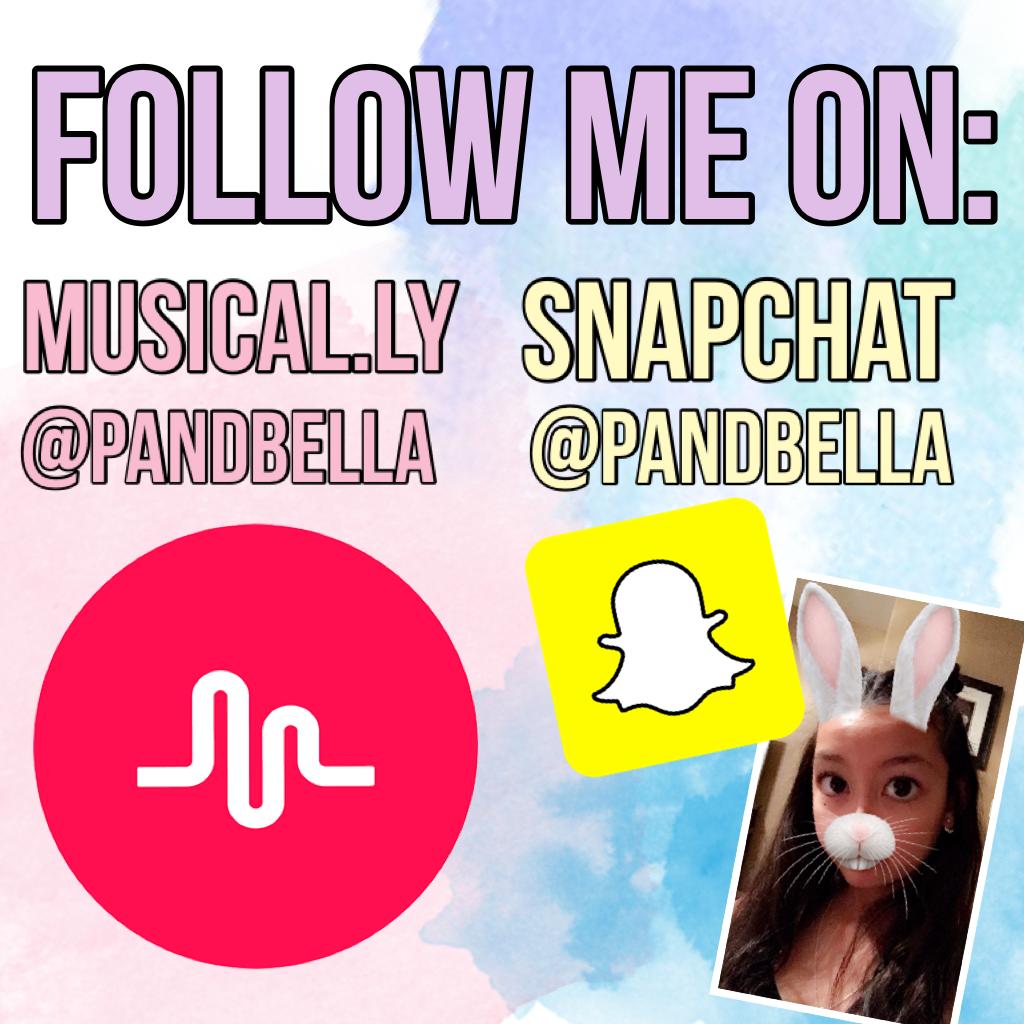 Follow me on all of the things❣ @pandbella everything