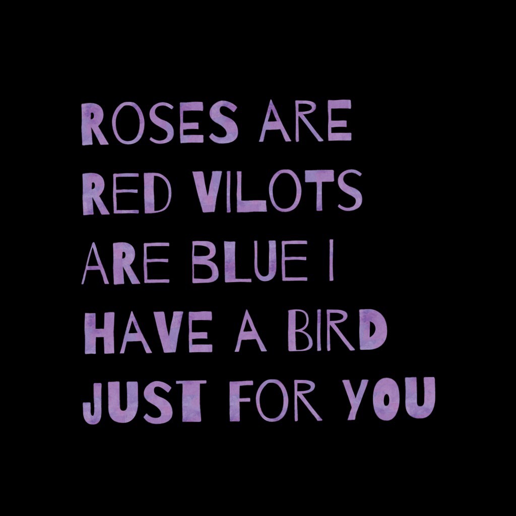 Roses are red vilots are blue I have a Bird just for you