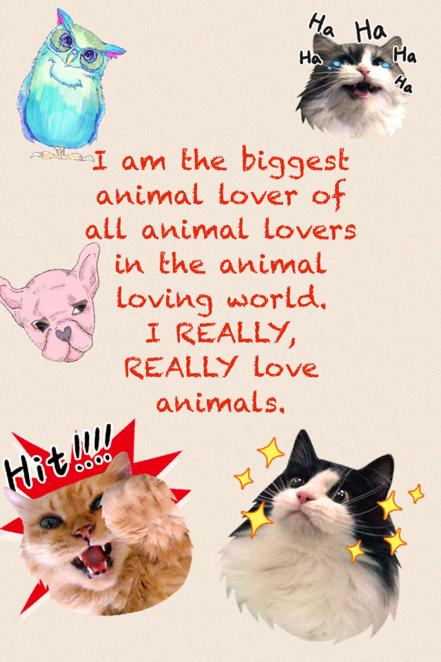 I am the biggest animal lover of all animal lovers in the animal loving world. 
I REALLY, REALLY love animals.