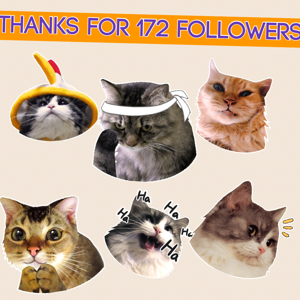 Thanks for 172 followers 