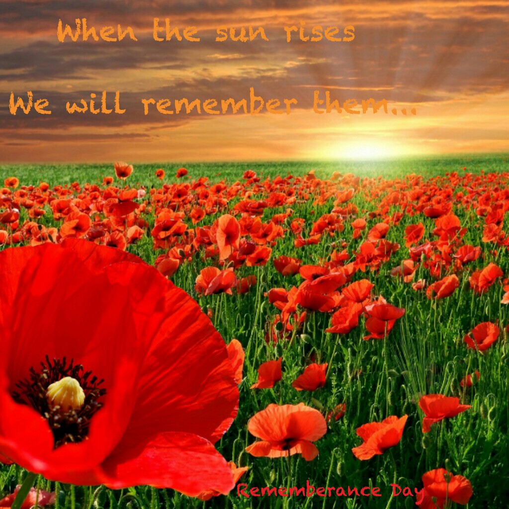 Happy Rememberance Day