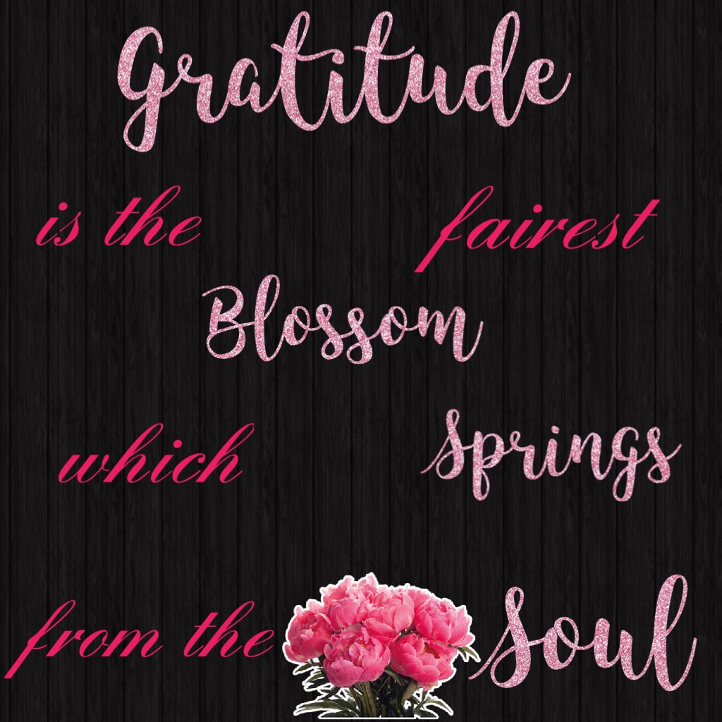 Gratitude 