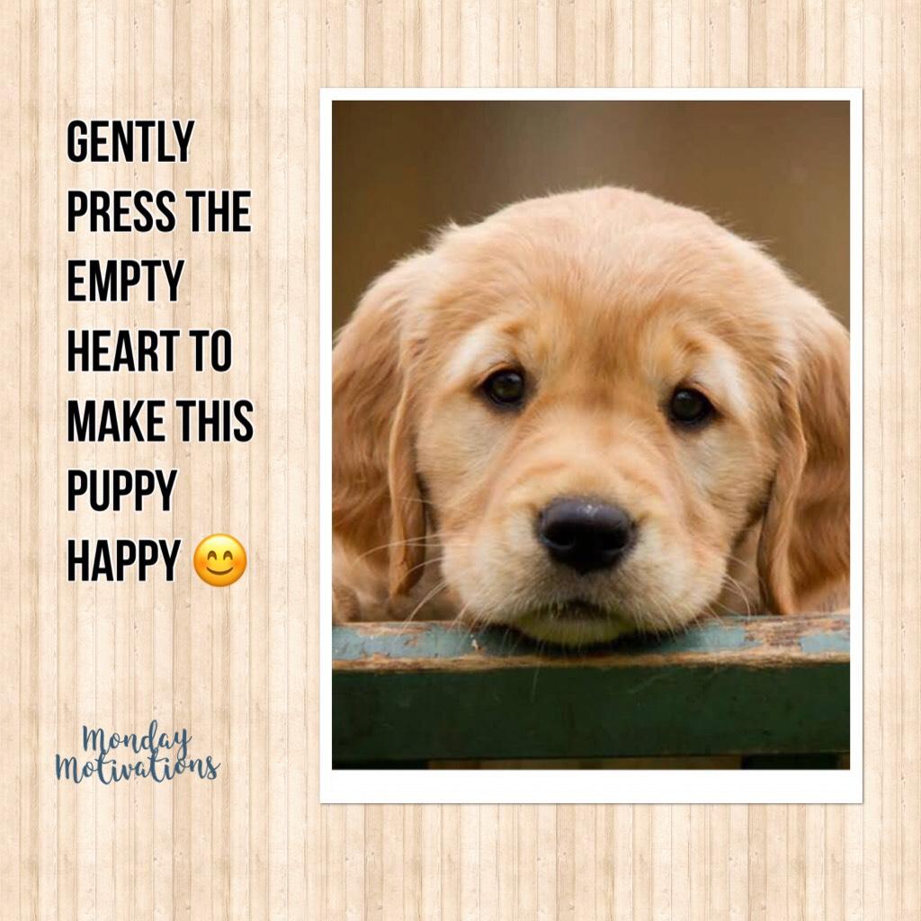 Gently press the empty heart to make this puppy happy 😊