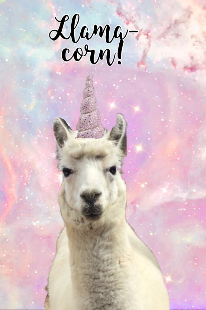                 Tap

Lol! I just found this picture of a llama from the zoo in my photo album and I just had to make it a llama-corn. 