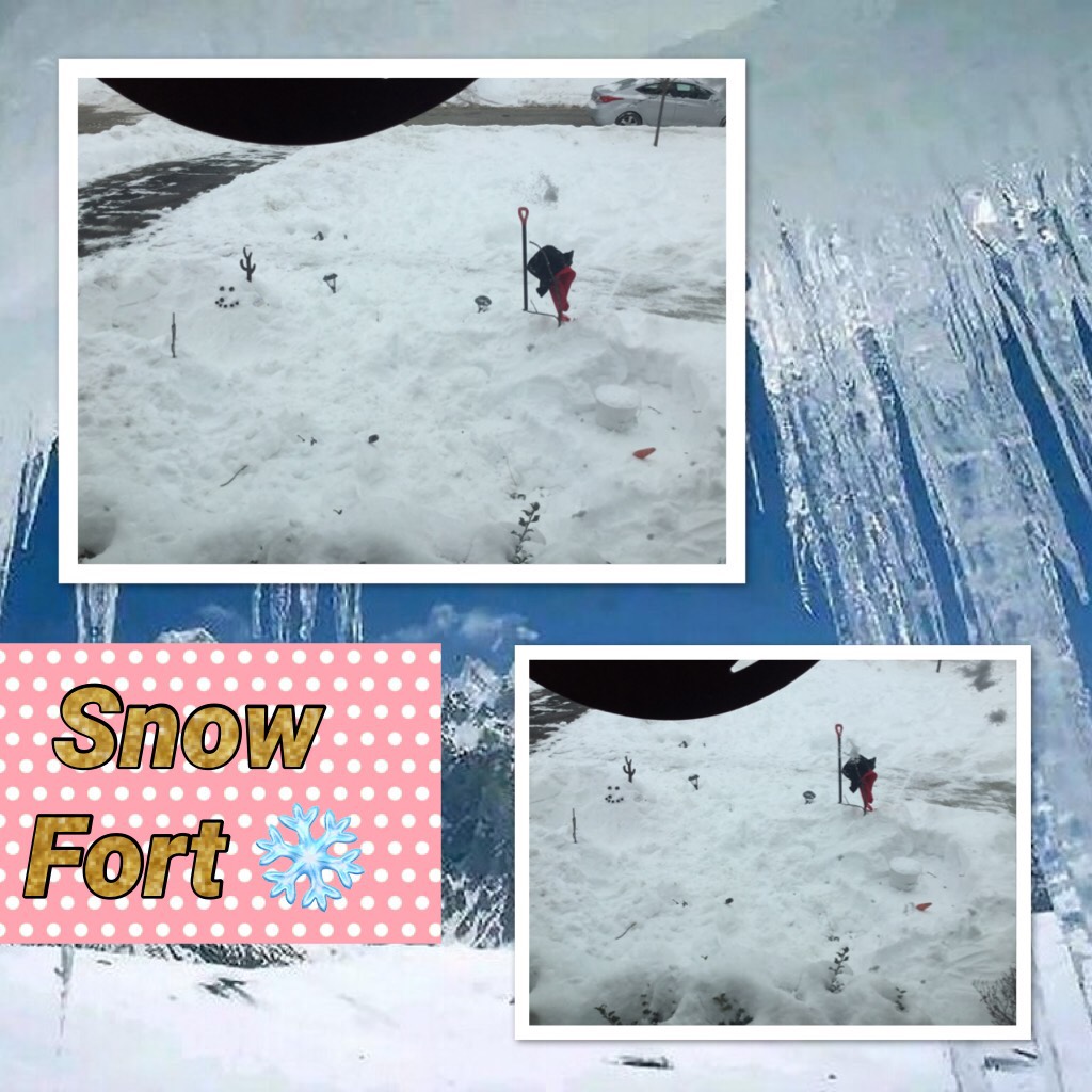  Snow Fort ❄️