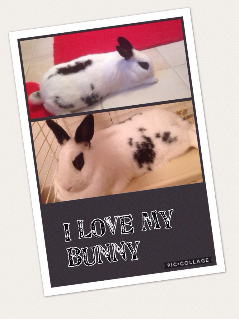 #Bunny #cute