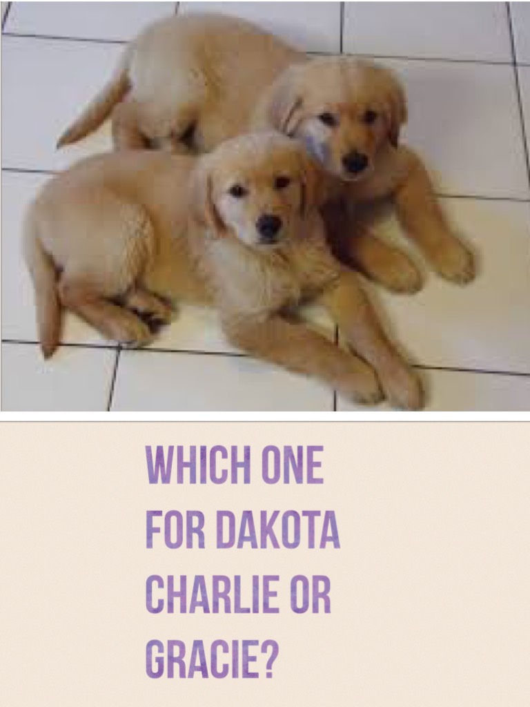 Which friend for Dakota 