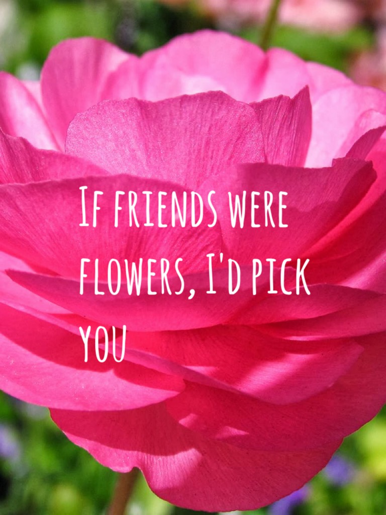 If friends were flowers, I'd pick you x
