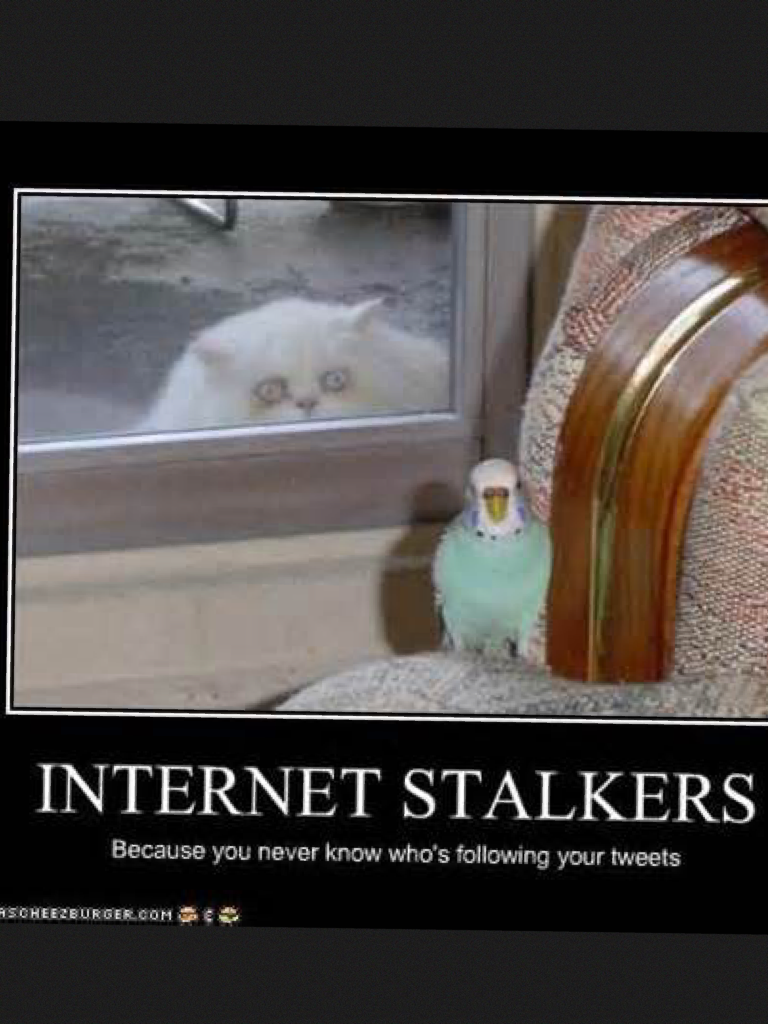 I have a stalker!😮😮😮😳