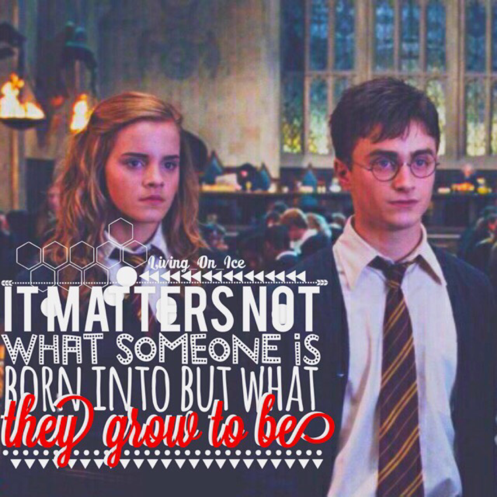 Go Harry Potter!⚡️~Katie✨