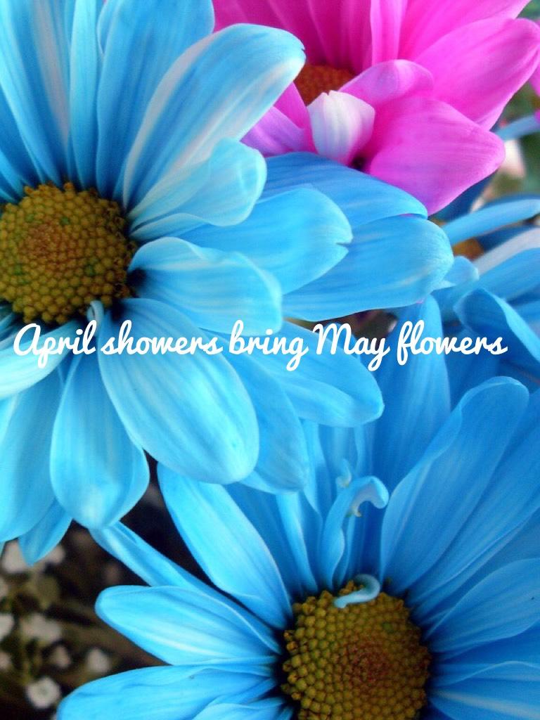 April showers bring May flowers 🌺🌷🌹🌻🌼🌸