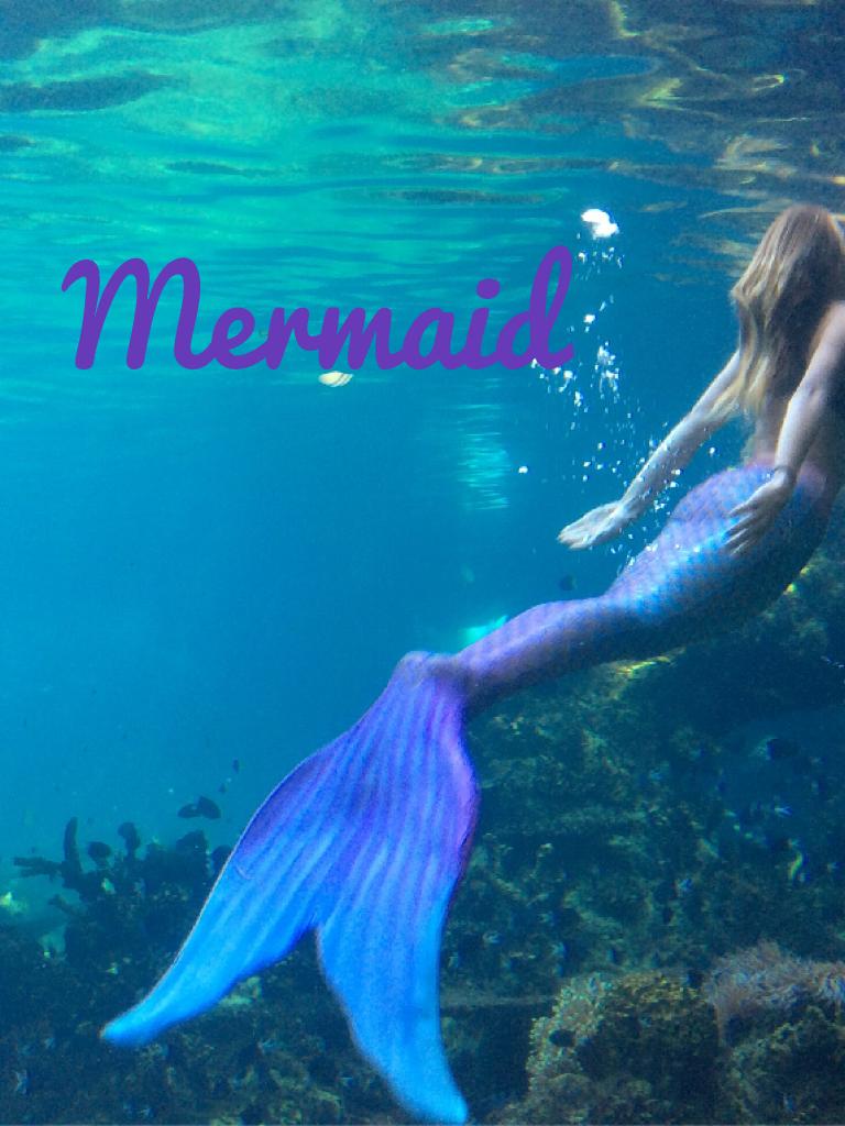 Mermaids in seaworld! Gold Coast