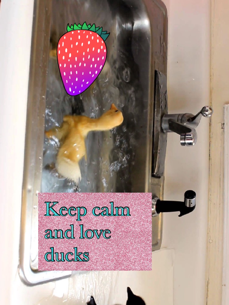 Keep calm and love ducks