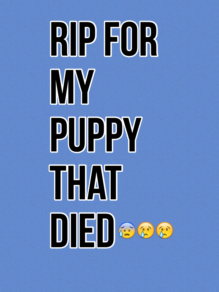 Rip for my puppy that died 