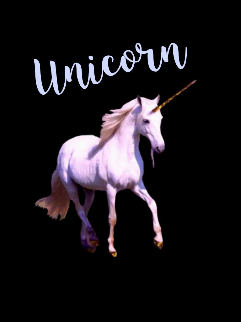 Unicorn 🦄 life 