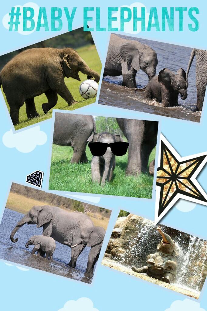 #Baby Elephants