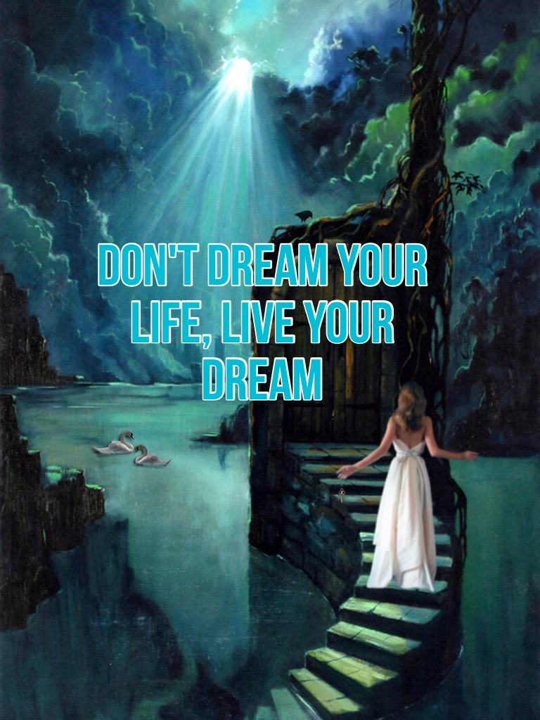 Don't dream your life, live your dream