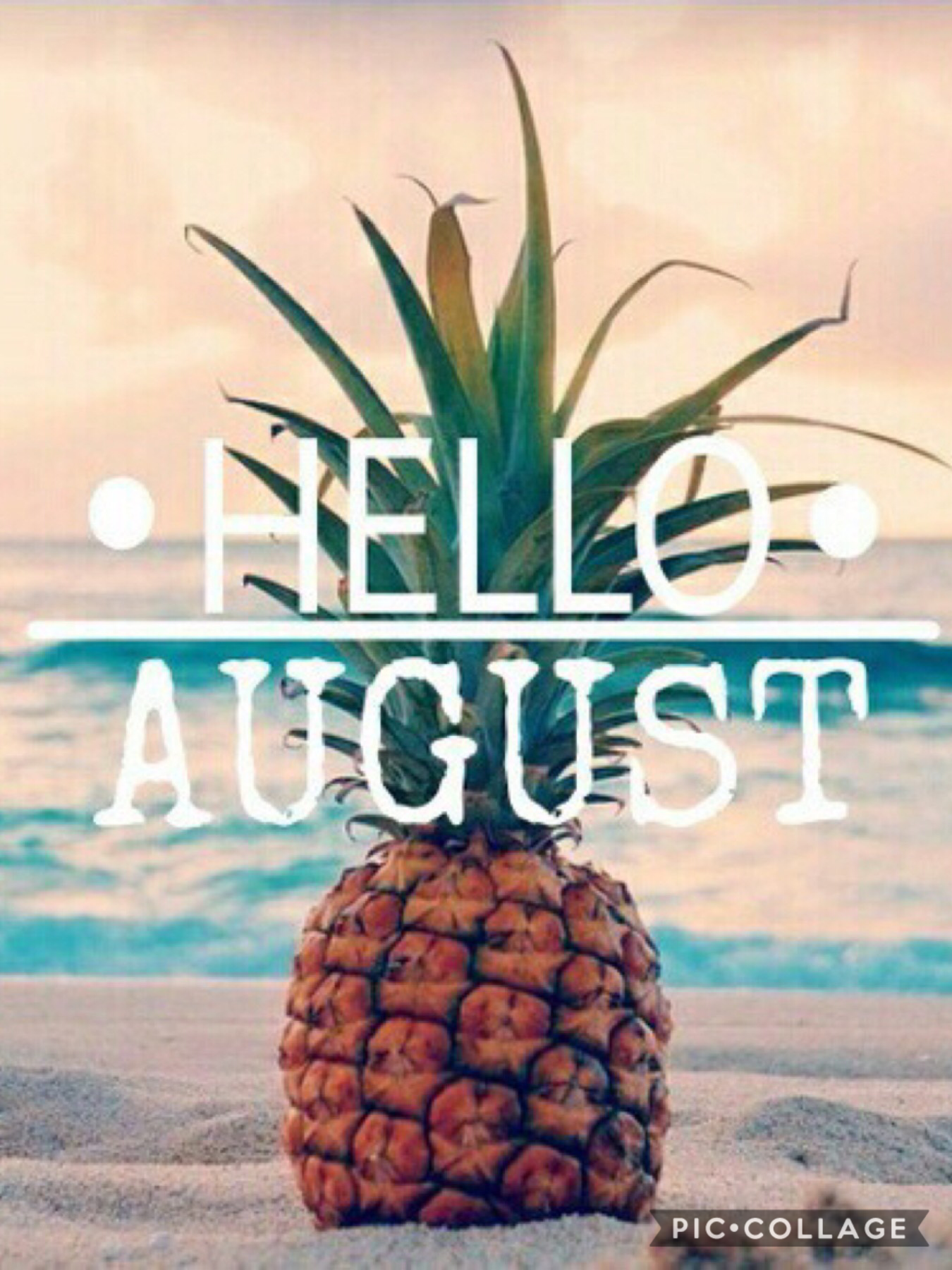 Hello beautiful August. GUYSS I START SCHOOL IN 14 DAYS😭😭