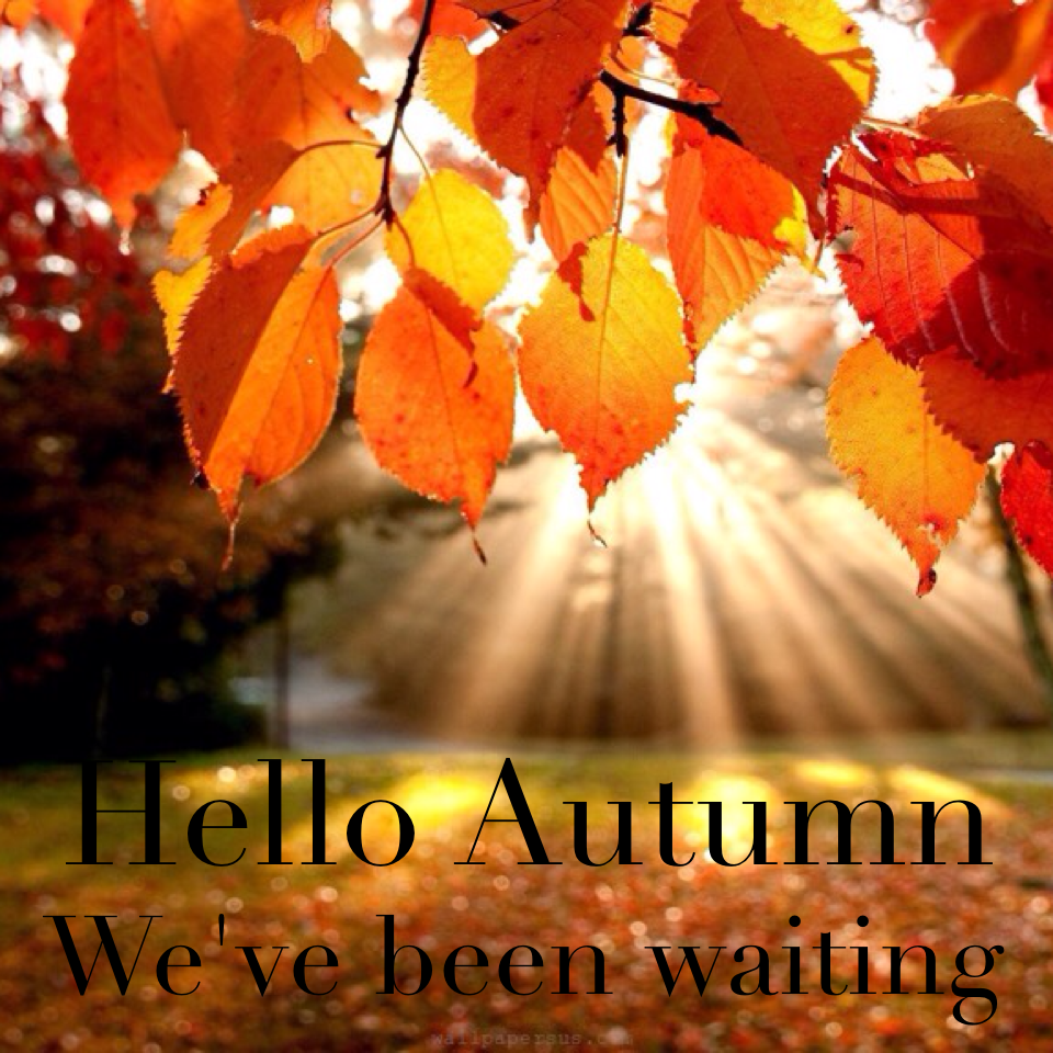 Hello Autumn!!!!!!