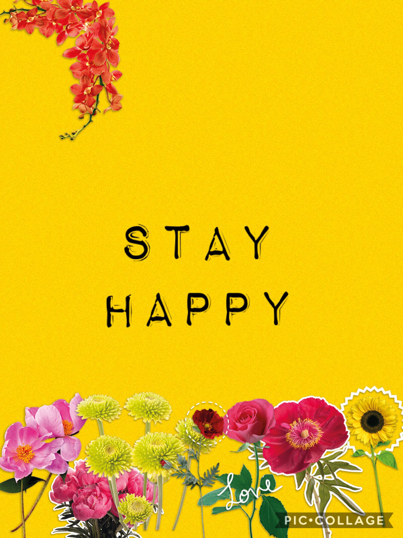 stay happy✌🏼❤️