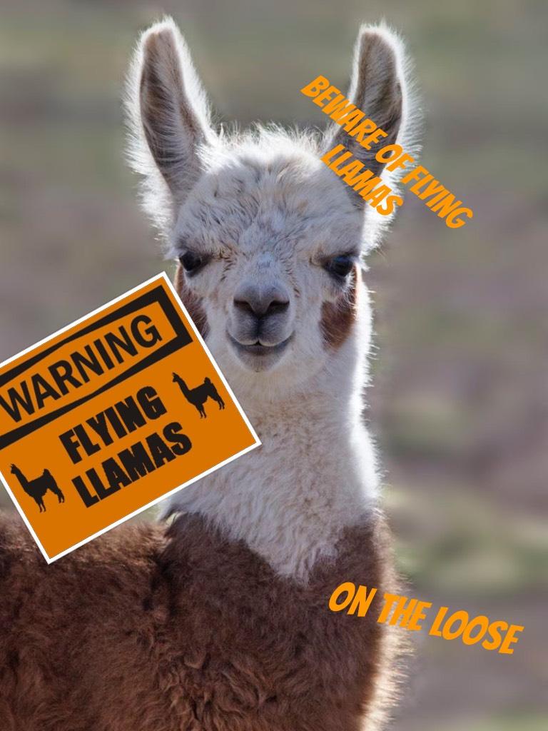 Beware of flying llamas