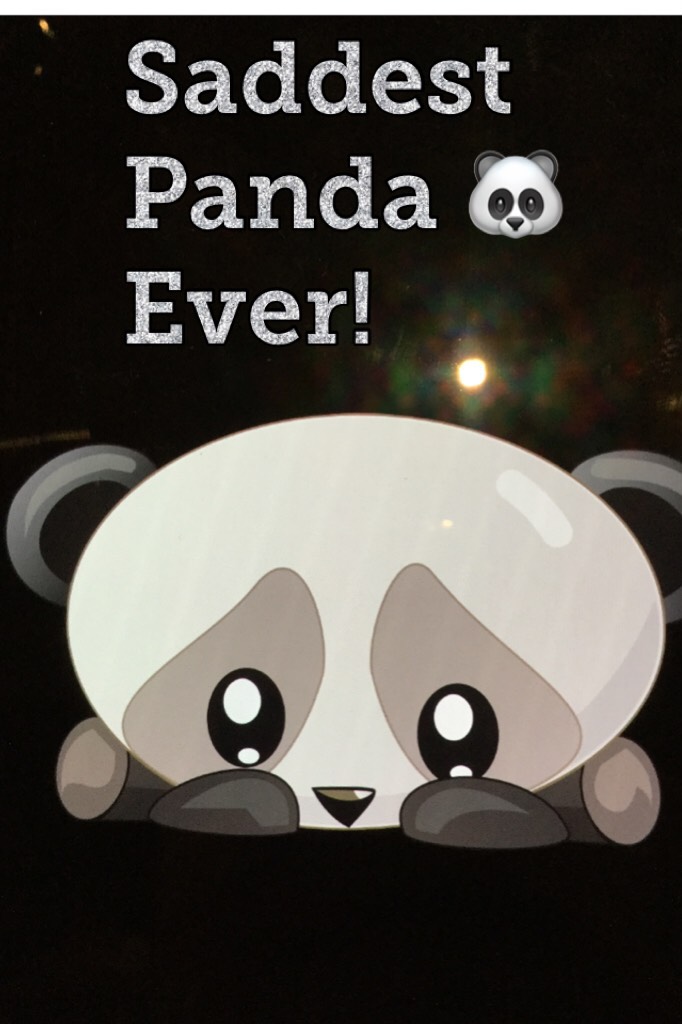 Saddest Panda 🐼 Ever!