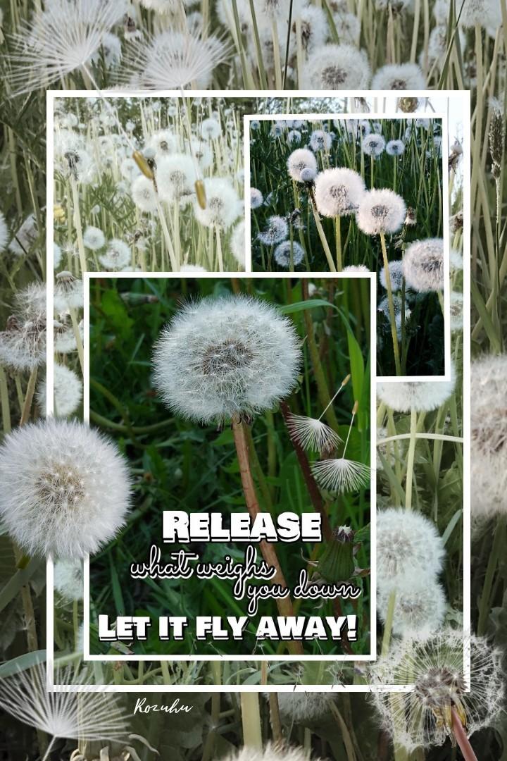Lovely summer weekend over, been enjoying it soo much!! Love to blow on dandelion seeds and se how they fly, they are such pretty parachutes!! 💟🌞😊