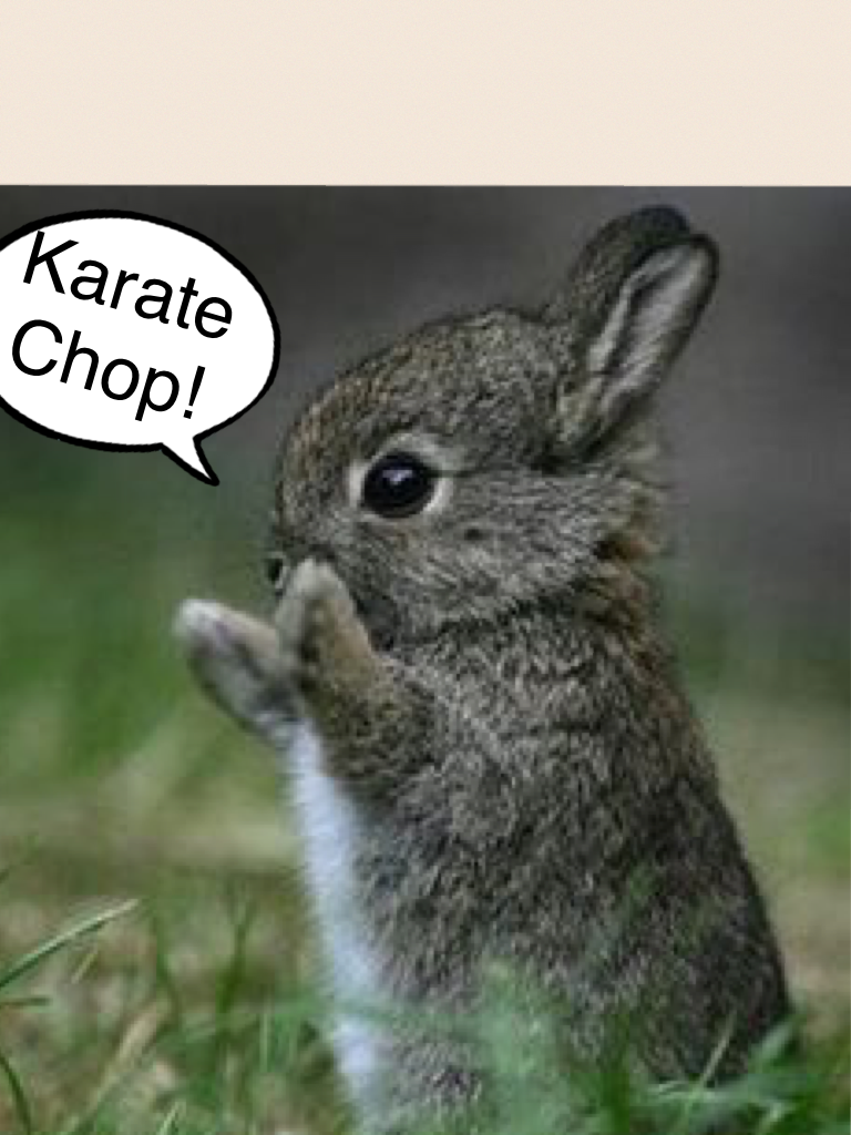Karate Chop!
