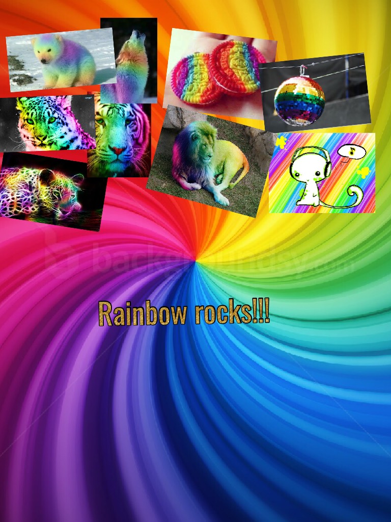 Rainbow rocks!!!
