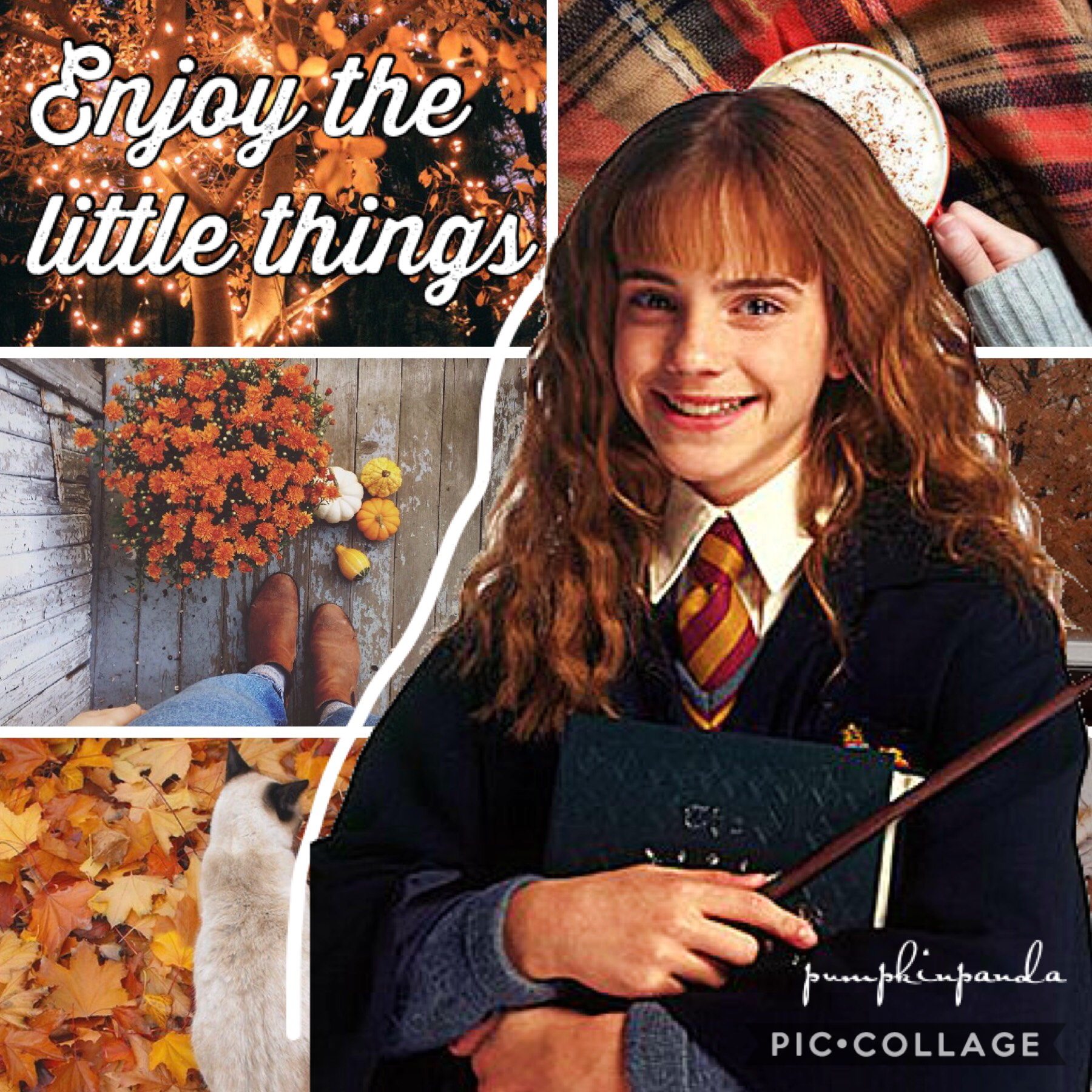 Enjoy the little things 🧡💜 Who’s your favourite character from Harry Potter? Mines Hermione, and her ginger cat Crookshanks.