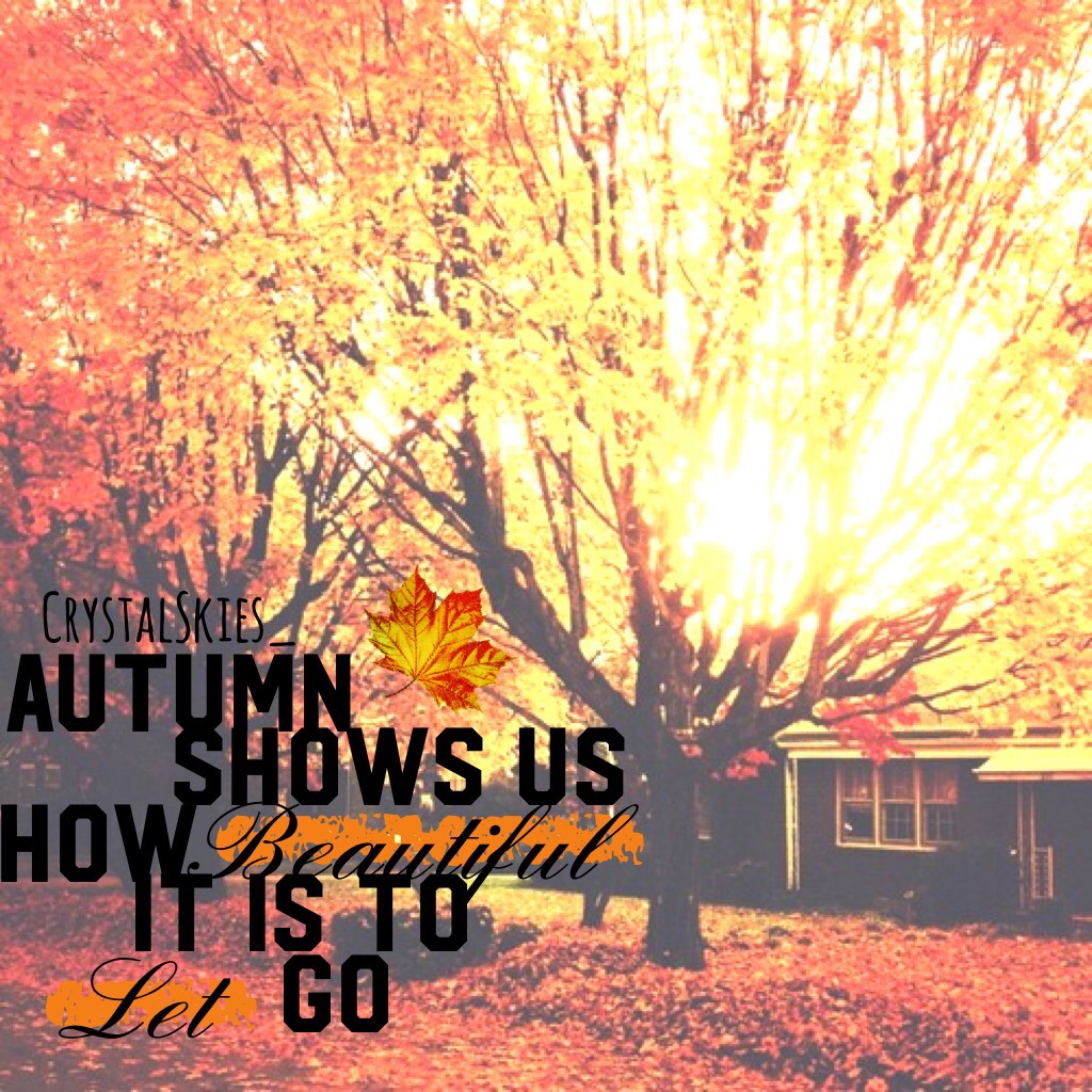 Autumn is So Beautiful!