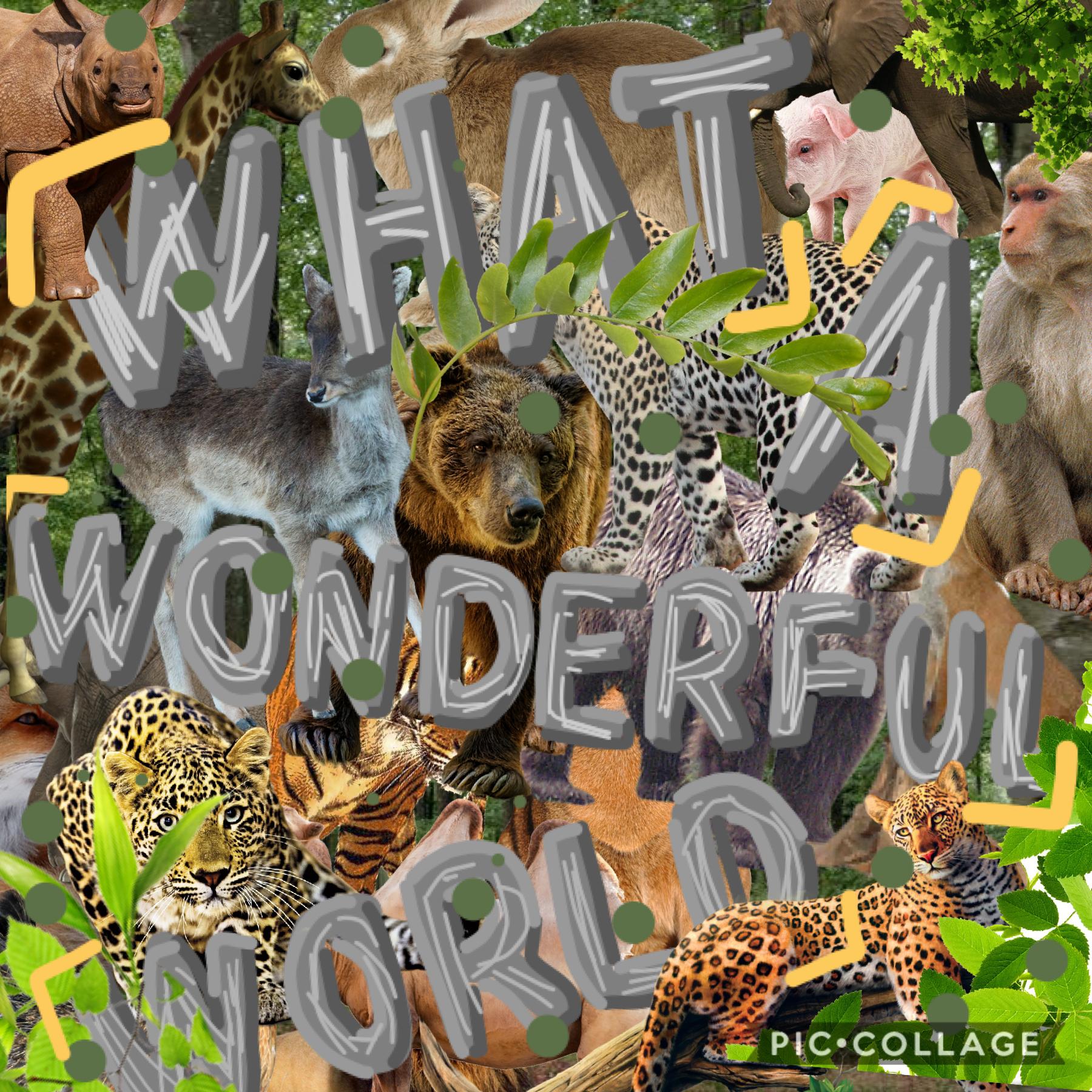 🐅🐆🦓🦍🦧TAP🐘🦛🦏🐪🐫🦒🦘🐃🐂🐄🐖🐏🐑🦙🐐🦌🐓

What’s your favorite animal? comment below! 