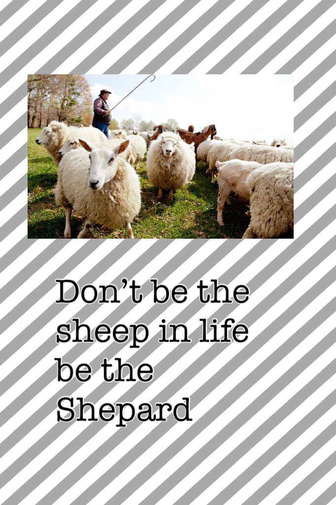 Don’t be the sheep in life be the Shepard what one are 
You