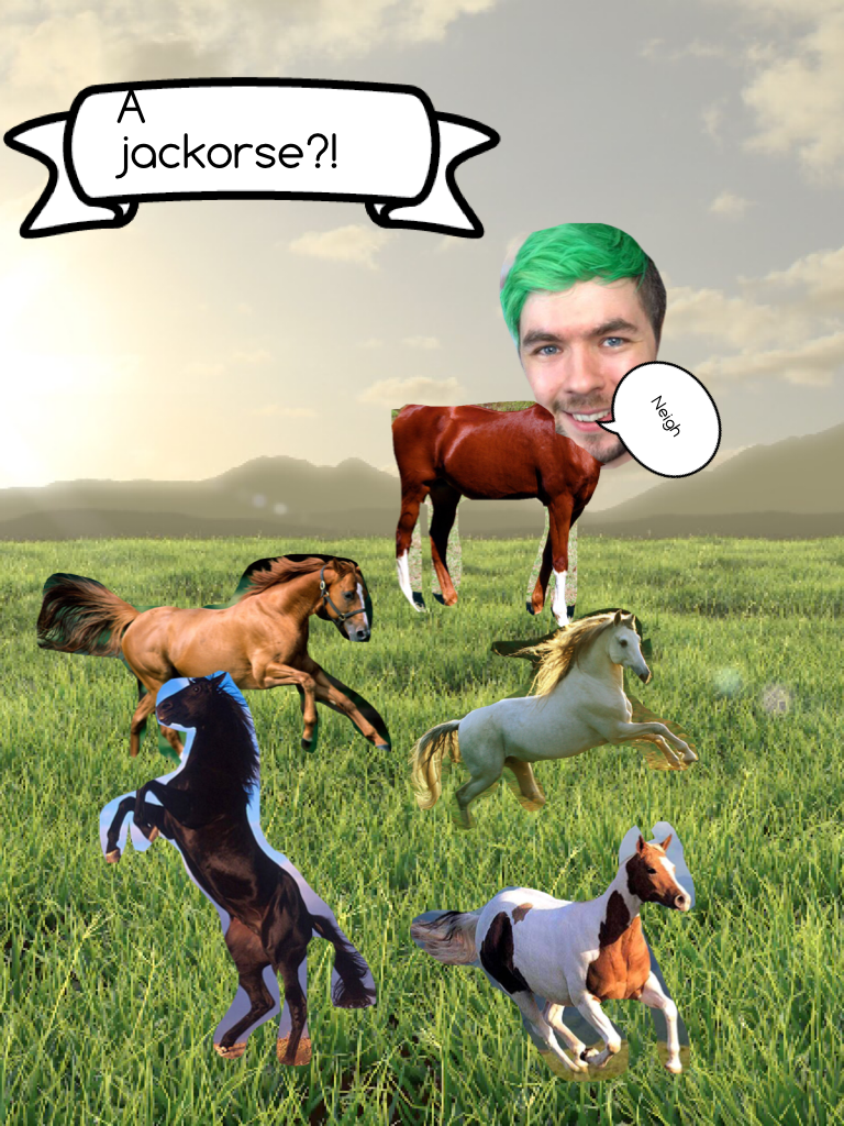How to make Jacksepticeye a horse
