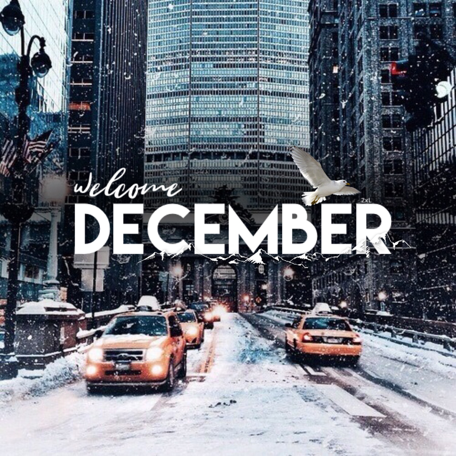 happy december ☃️