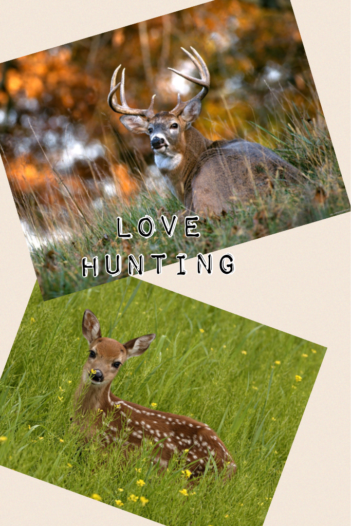 Love hunting 